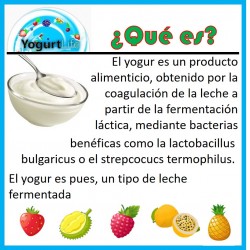 Mini Yogur natural con frutas (Tina 200g YogurtLife)