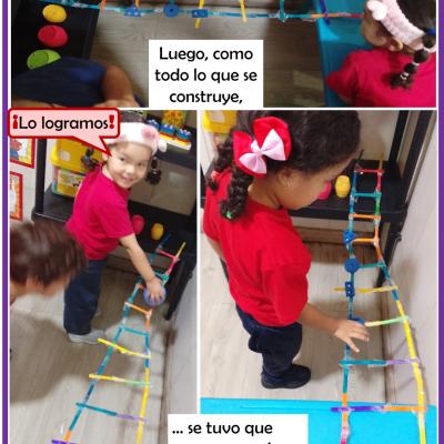26060105sem1d4p1d3imagen08d10