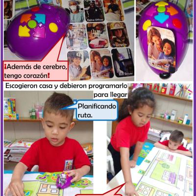 26060105sem1d4p3d3imagen03d10