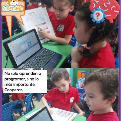 26060105sem1d4p3d3imagen04d10