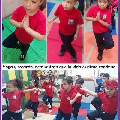26060105sem1d4p3d3imagen07d10